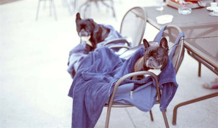 2027 Chevy Bolt EV: Why This $30K Electric Car Is a Game-Changer